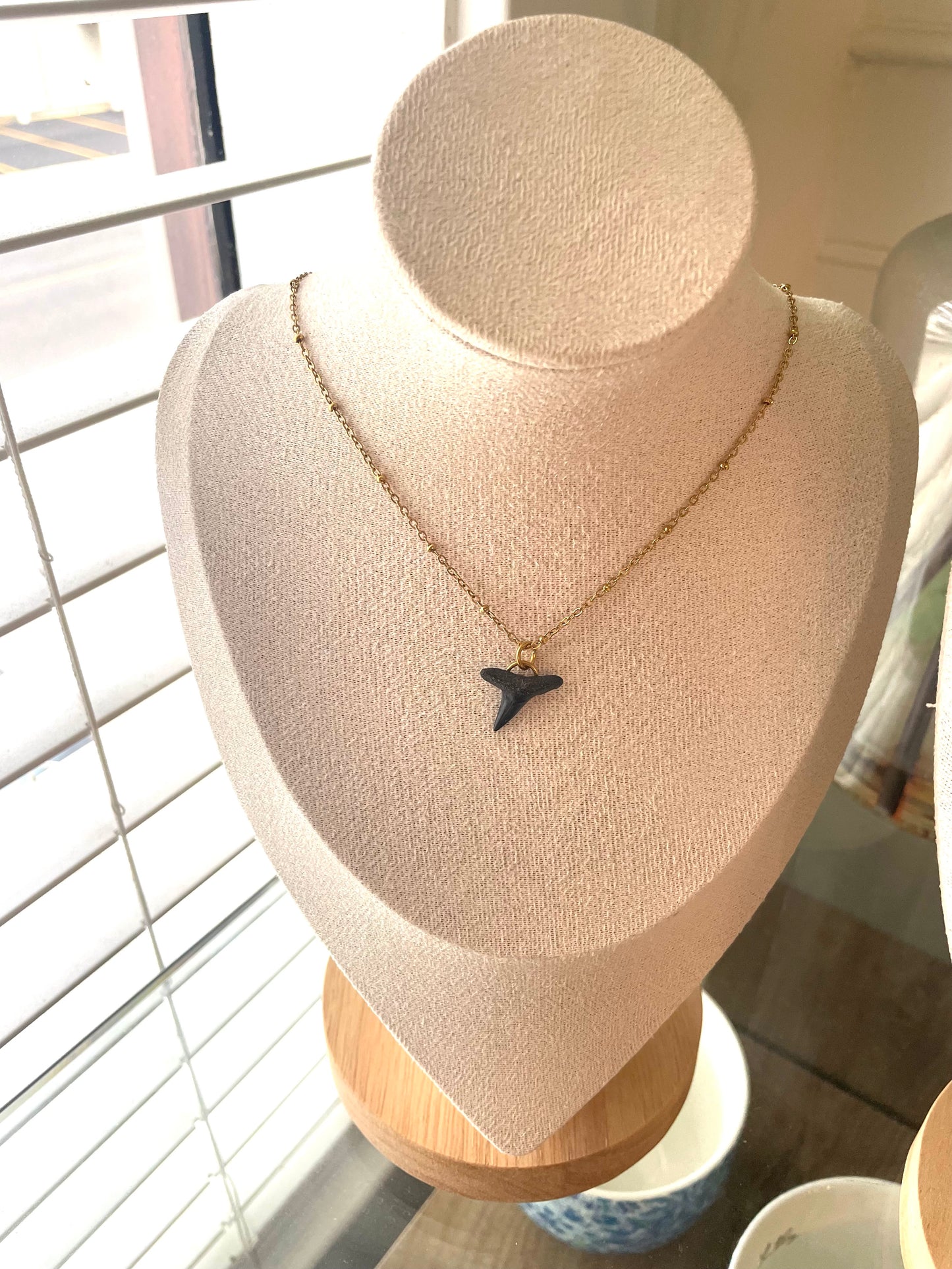 Shark Tooth Necklace